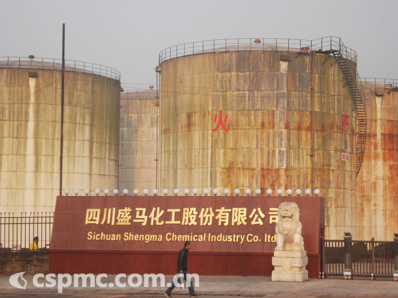 �Ĵ�ʢ��������